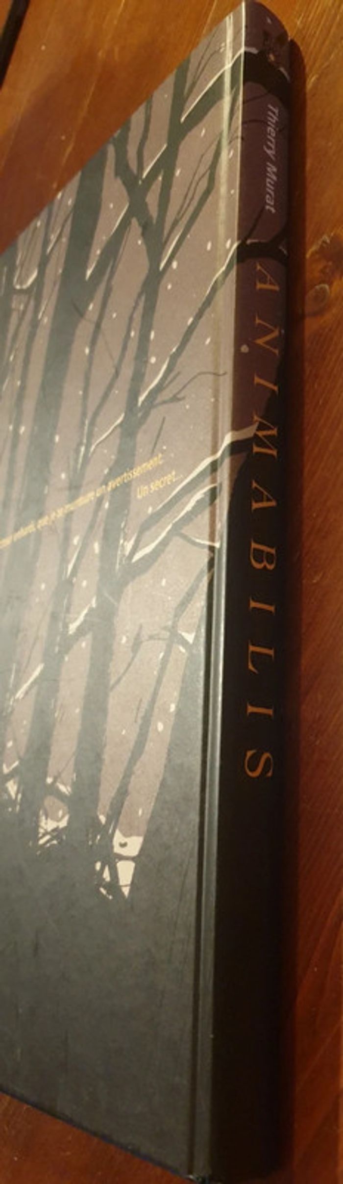 BD Animabilis - Thierry Murat - photo numéro 3