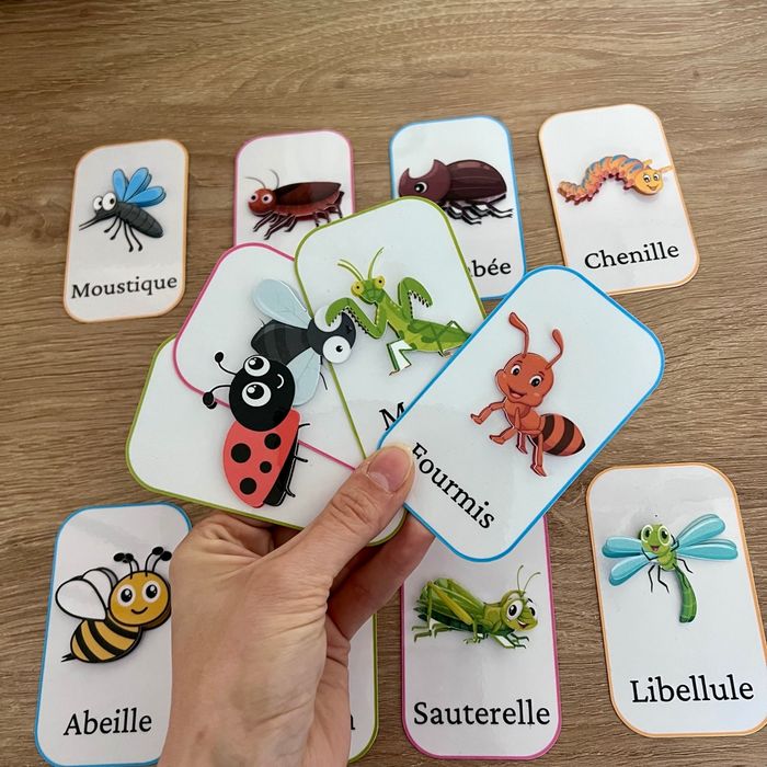 Jeu insectes - photo numéro 2