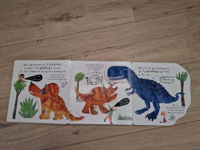 Livre 📖 Et voilà les dinosaures ! - photo numéro 6