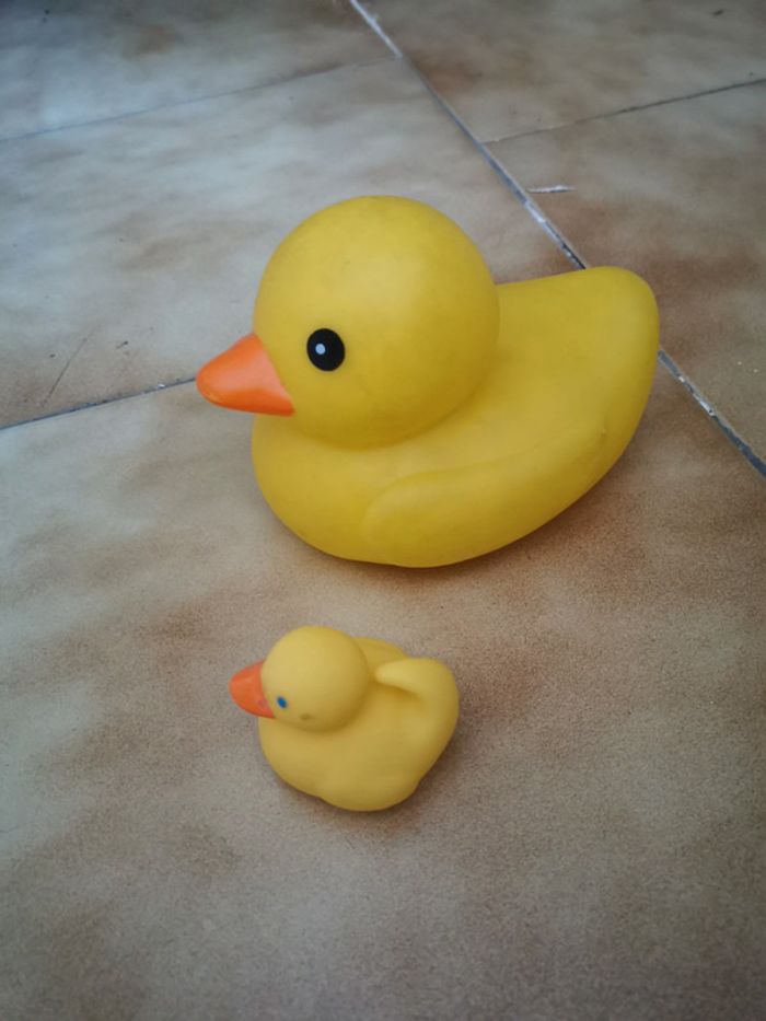 2 canards - photo numéro 3