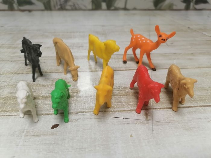 Animaux. - photo numéro 9