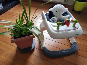 Trotteur - pousseur 2in1