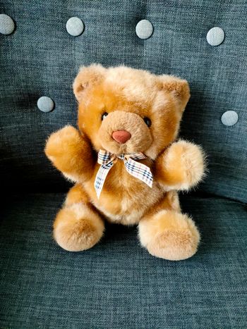 Peluche/Nounours tout doux marron