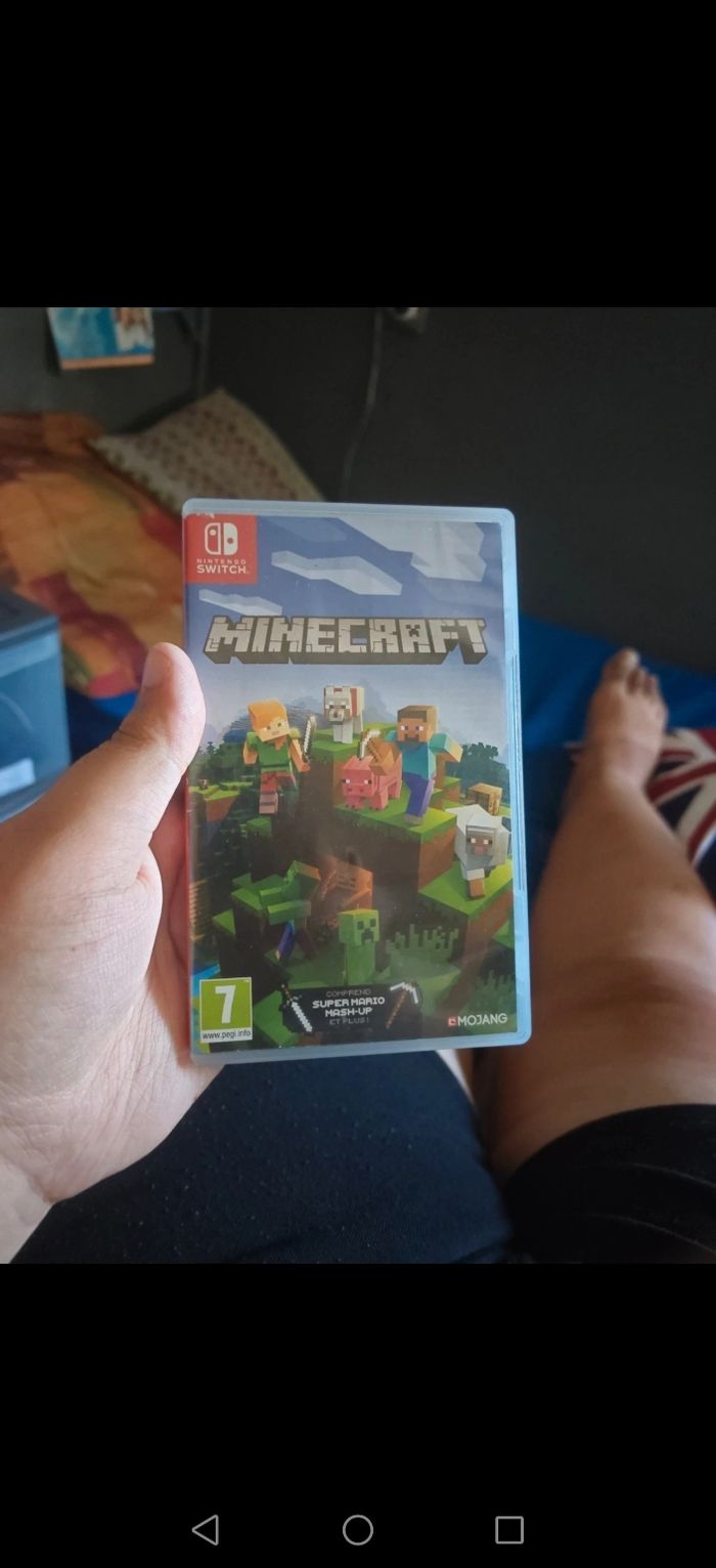 Minecraft Nintendo switch