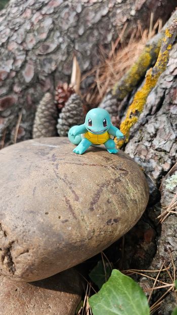 Super figurine Pokemon Nintendo tomy carapuce