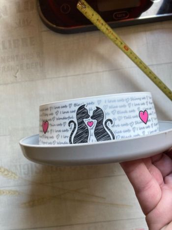 Jolie gamelle glamour pour chat 🐈