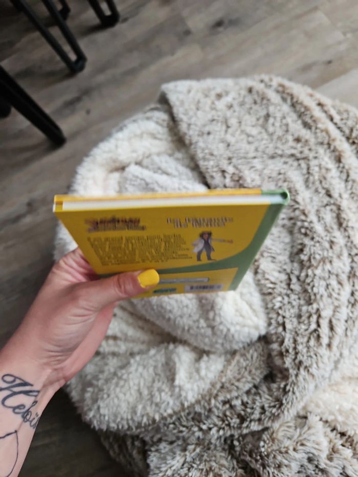 Livre pokémon - photo numéro 5