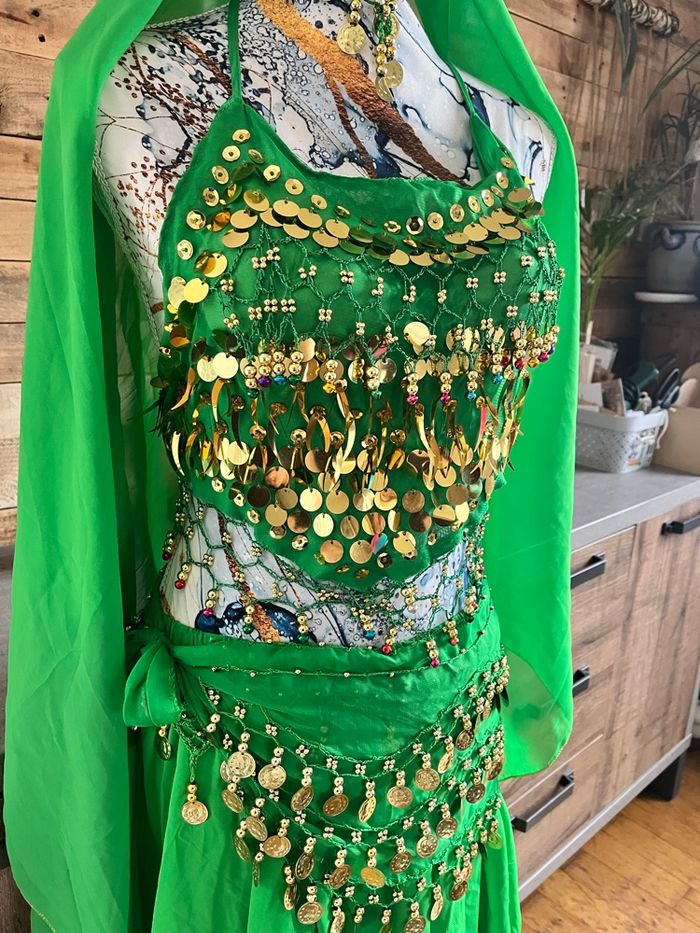 Tenue indou carnavalesque - photo numéro 4