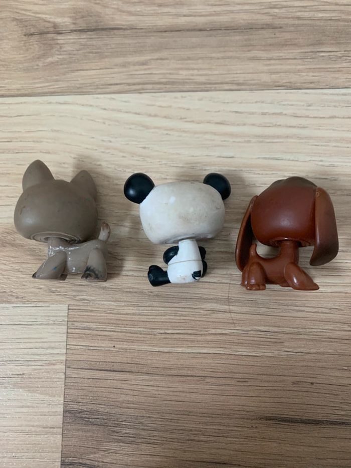 Pet Shop - photo numéro 3