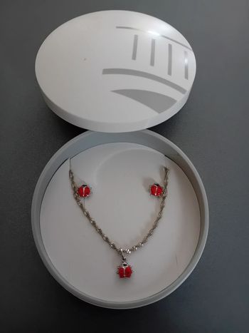 Ensemble collier,pendentif et boucles d’oreilles coccinelle en argent