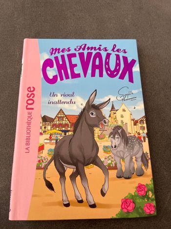 Livre bibliothèque rose mes amis les chevaux tome 4
