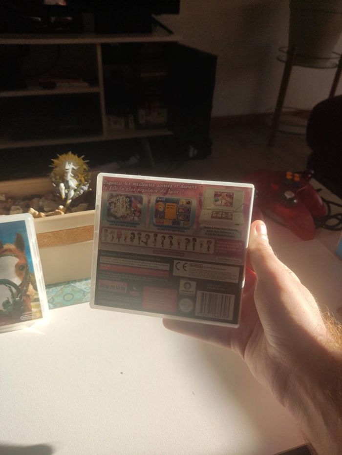 Lot Jeux Nintendo ds pour fille horse life 2 cheval sweet 16 - photo numéro 3
