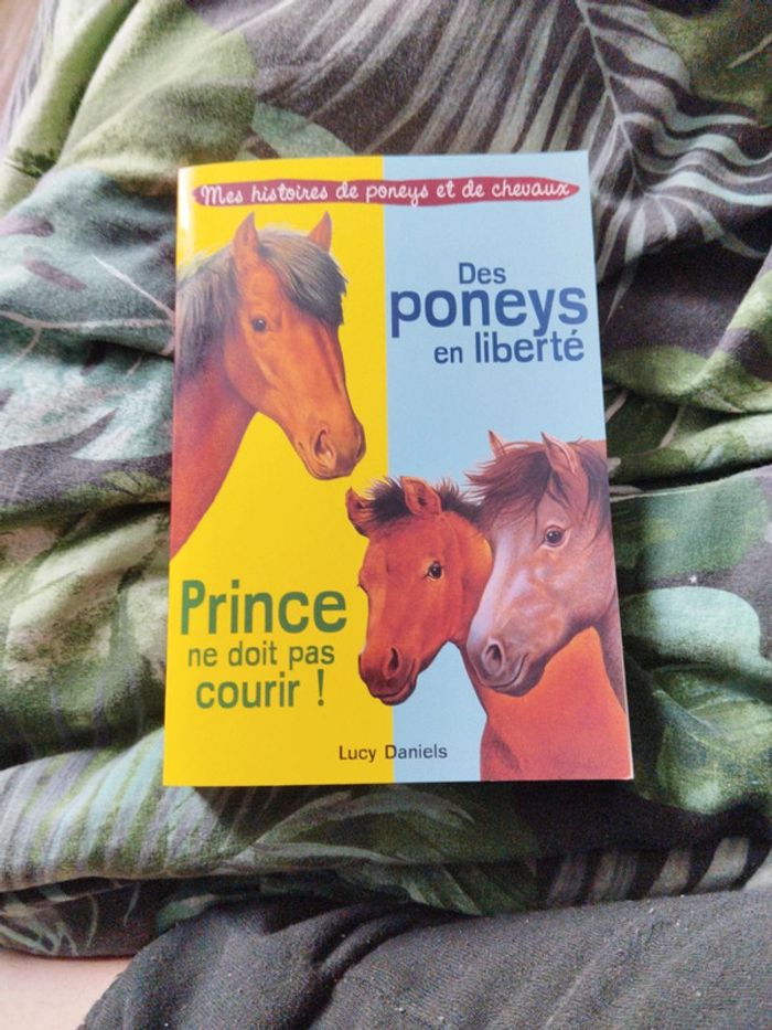 Mes histoires de poneys et de chevaux
