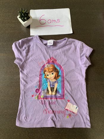 Tee-shirts manches courtes taille 6 ans