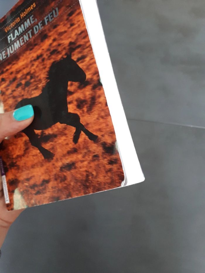 Flamme, une jument de feu, Victoria Holmes - photo numéro 6