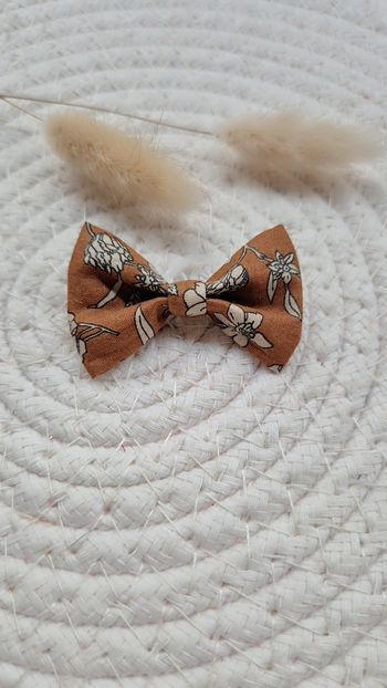 Barrette