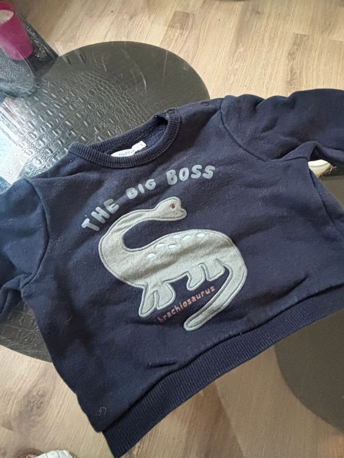 Pull dinosaures