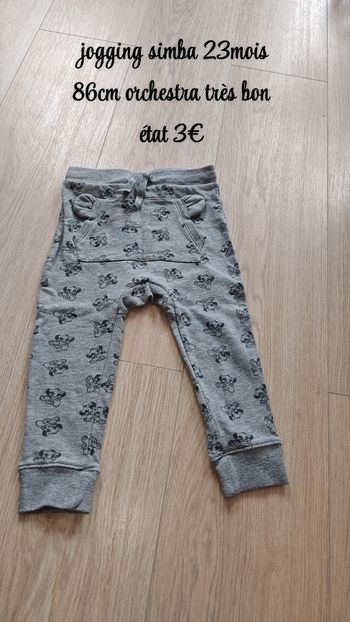 Jogging Simba 23mois 86cm orchestra 