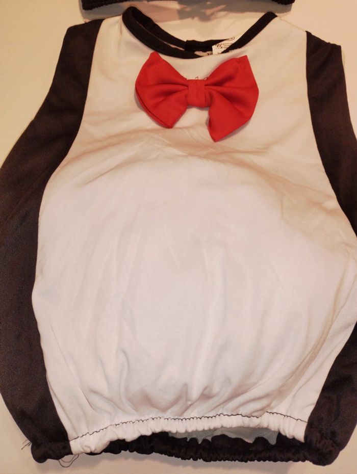 Déguisement pingouin - photo numéro 4