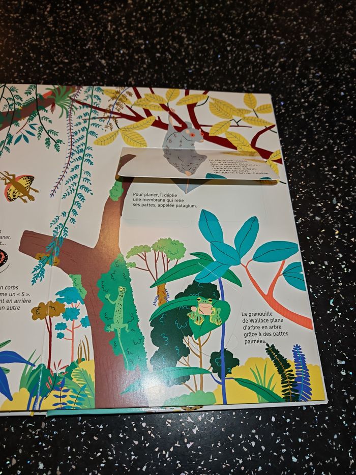 Livre animé des animaux de la jungle - photo numéro 5