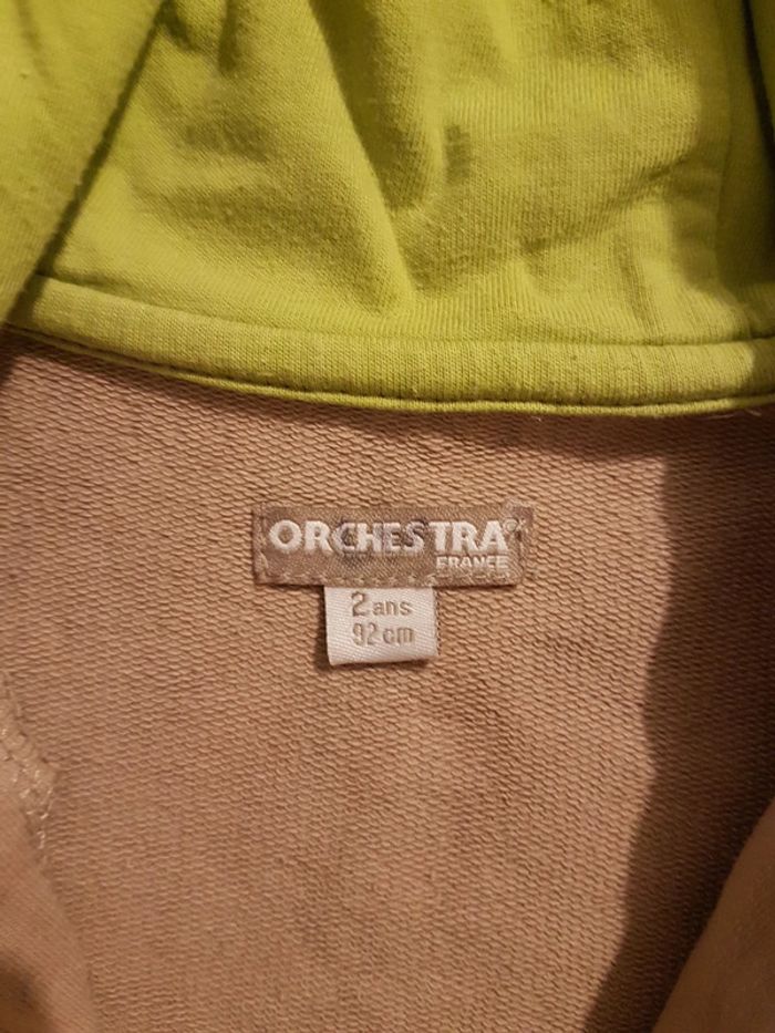 Veste à capuche 2 ans - photo numéro 2