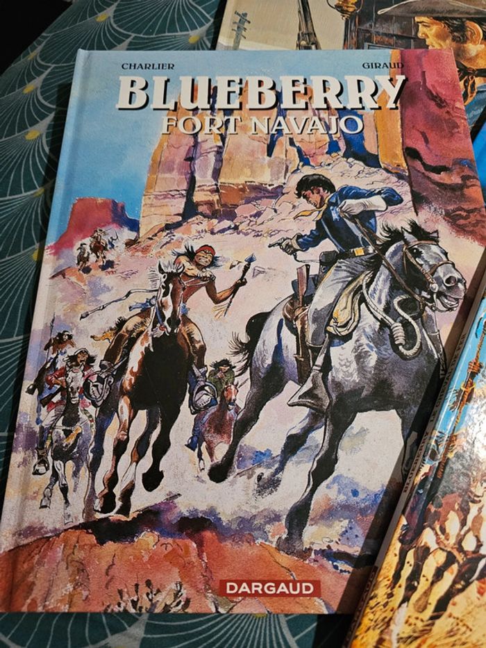 4 BD blueberry - photo numéro 2