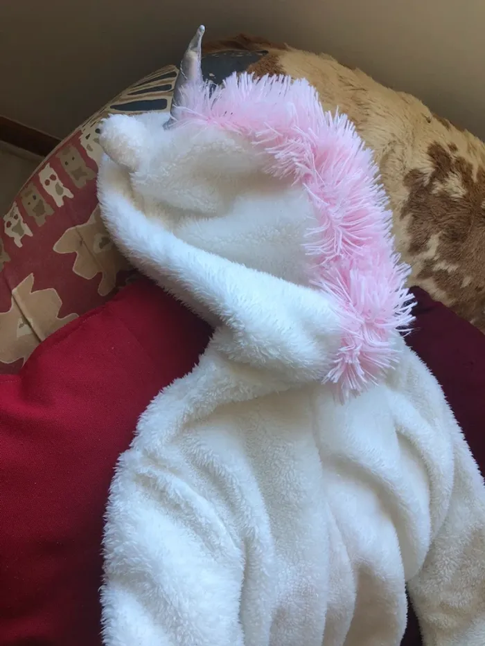 Sur pyjama - photo numéro 4