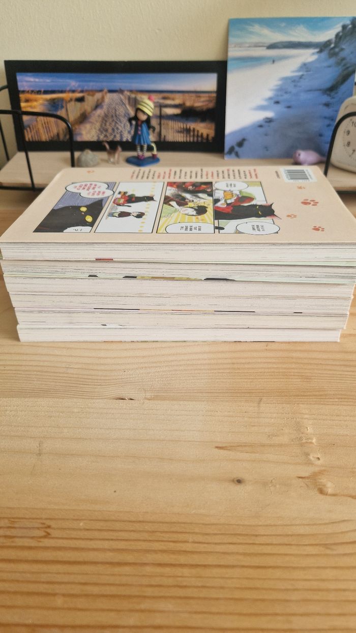 Manga mon chat à tout faire est encore tout déprimé - photo numéro 4
