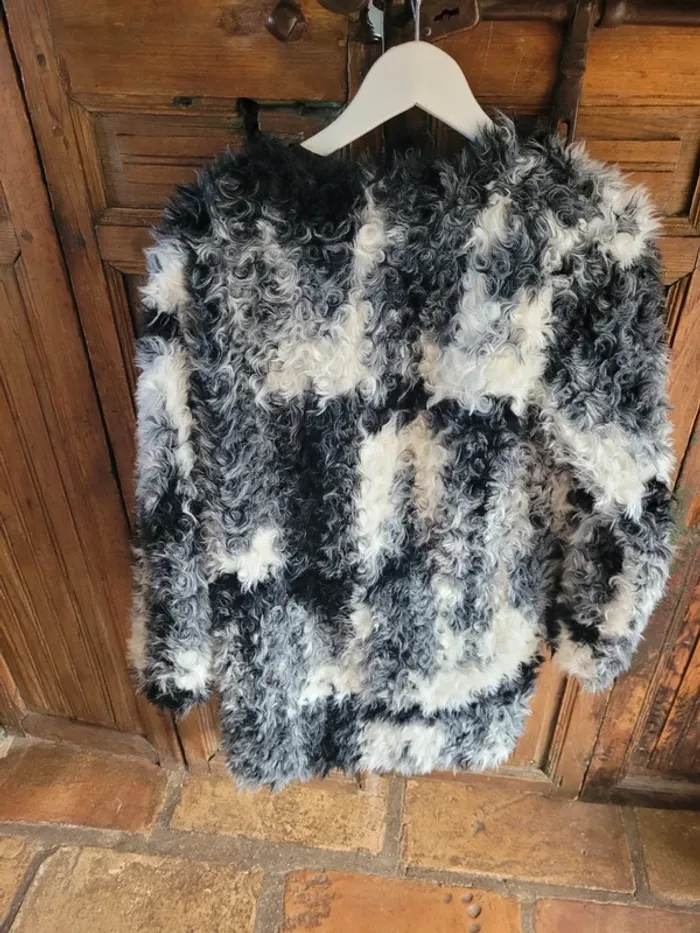 Manteau zara fourrure - photo numéro 4