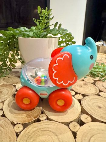 Éléphant ami jungle Fisher price 