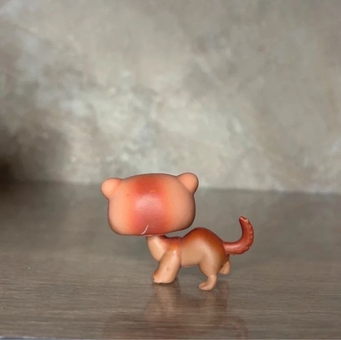 Petshop Furet #334 - photo numéro 3