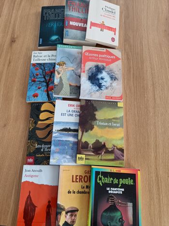 Lots livres de poche 