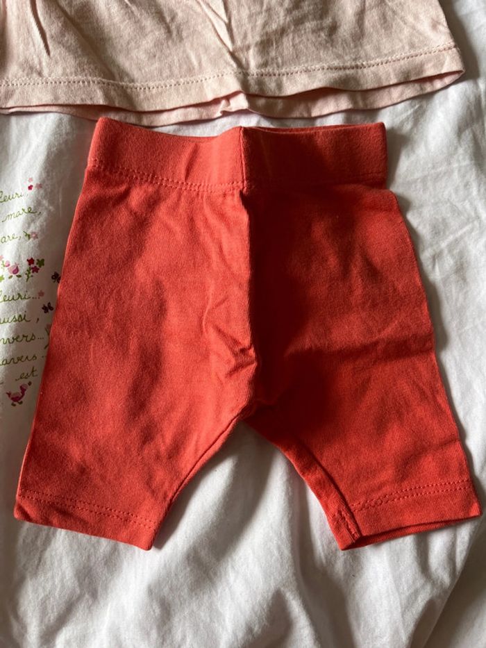 Lot été - photo numéro 2