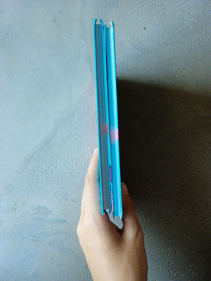 Livre Winx club " les pouvoirs de bloom et régal academy " l'école des congés de fées - photo numéro 3