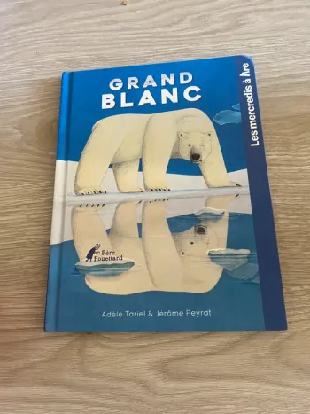 Livre grand blanc