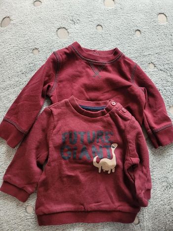 Lot de 2 sweats 6 mois 63-69 cm