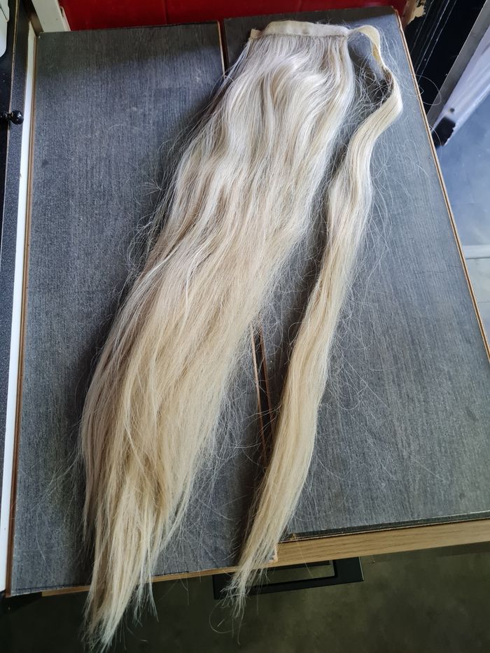 Extention queue de cheval