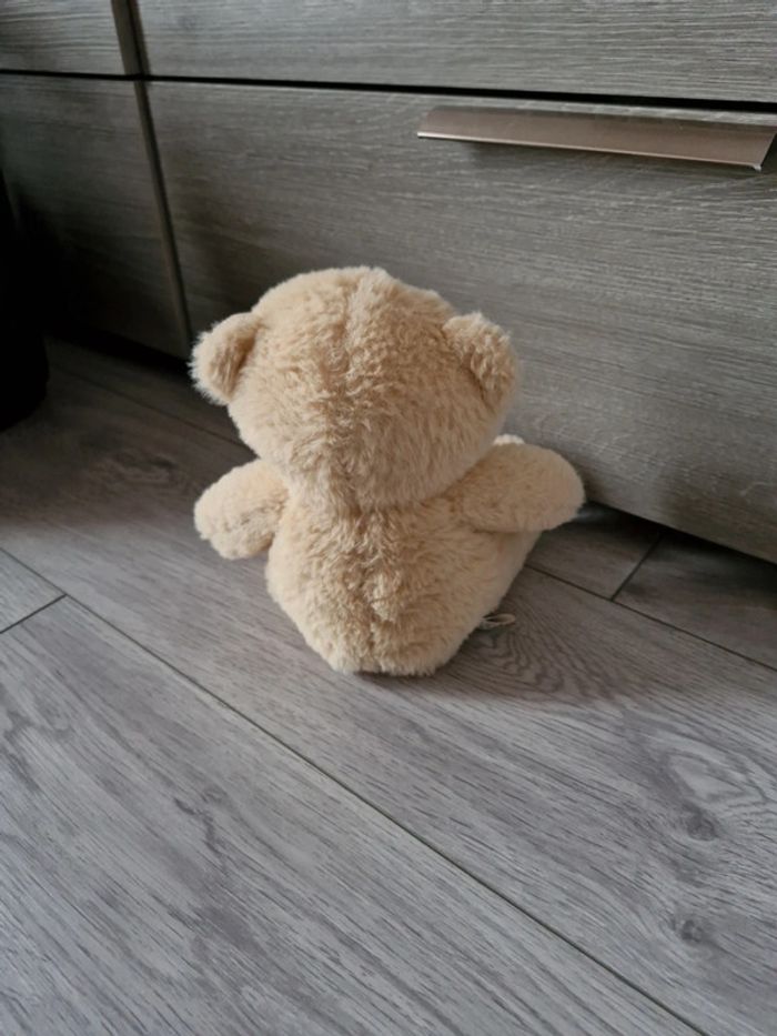 Ours 🐻 - photo numéro 2