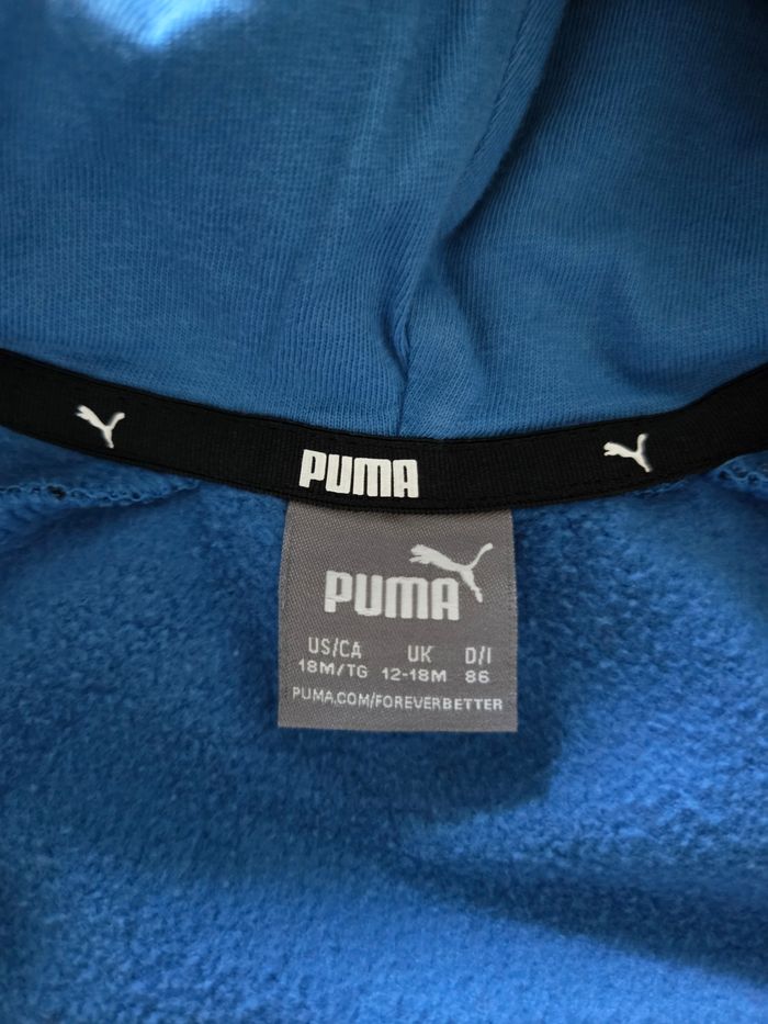 Veste - photo numéro 3