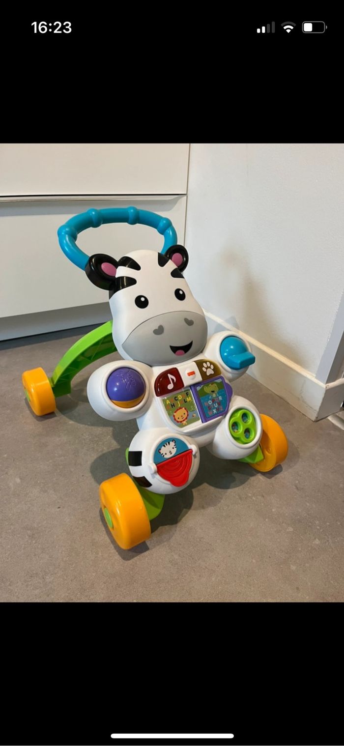 Trotteur d’activité zèbre