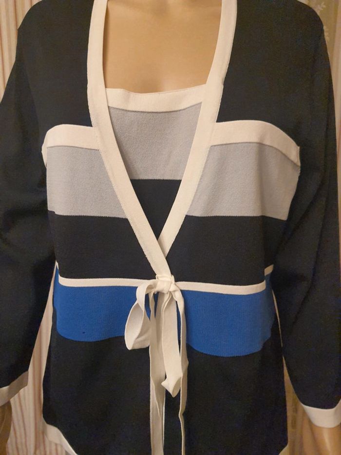Blouse/ Pull Mayerline taille 2L 44 - photo numéro 7