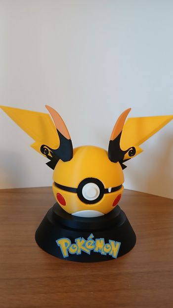 Pokeball Mega Raichu X