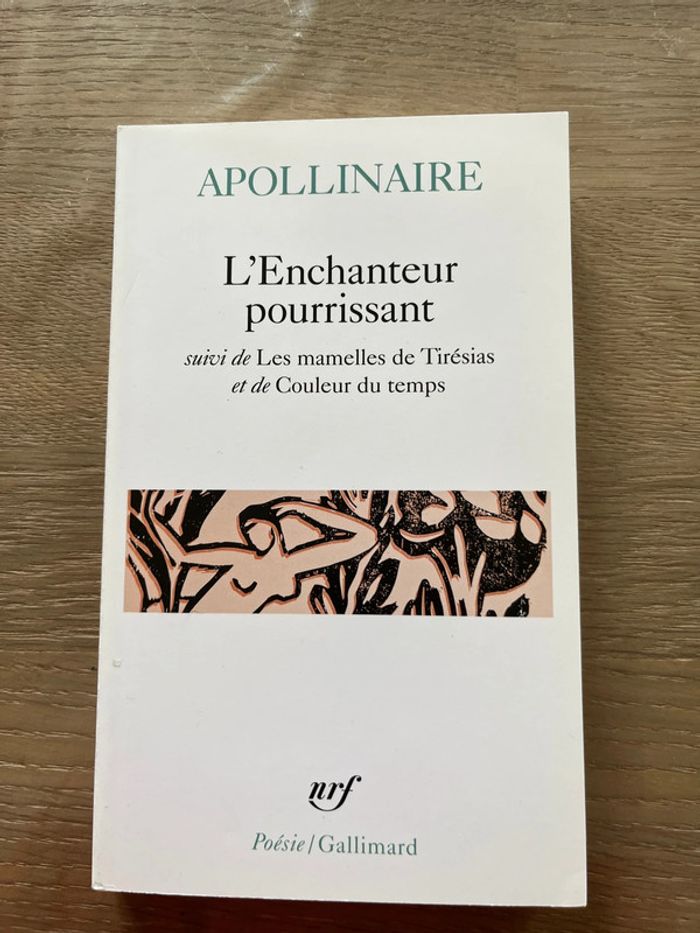Livre l enchanteur pourrissant