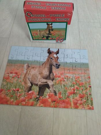 Puzzle 50 pièces