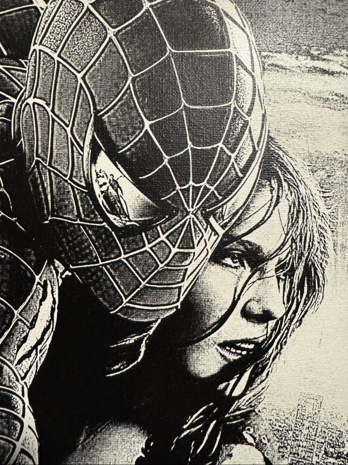 Tableau Spider-Man protecteur toile 30x40cm – scène culte - photo numéro 3