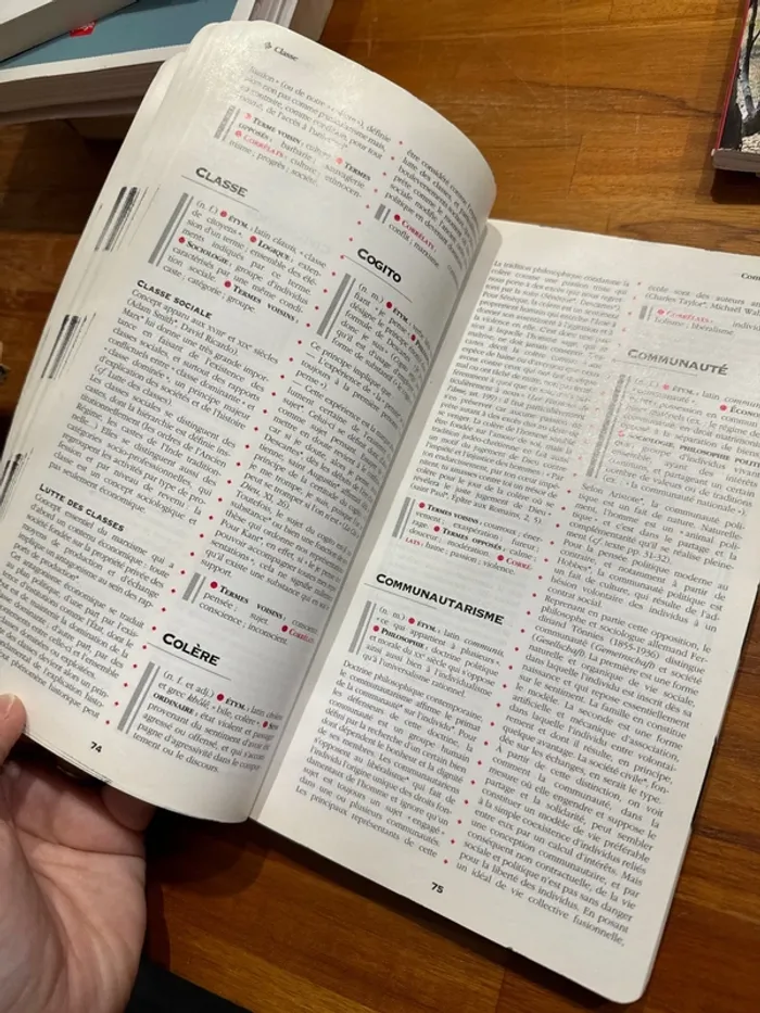 Livre la pratique de la philosophie - photo numéro 4