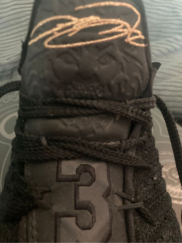 Nike Lebron 16 Black and Gold taille 40,5 - photo numéro 6