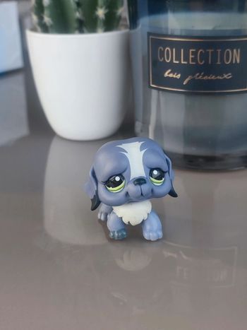 Littlest Pet Shop #1133 grey blue st. Bernard dog