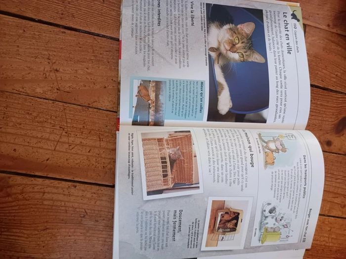 Livre : Copain des chats édition : Milan neuf - photo numéro 2