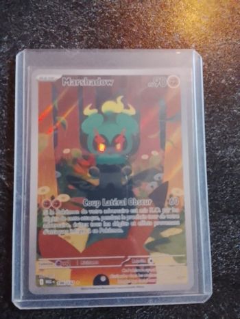 Carte Pokémon français 